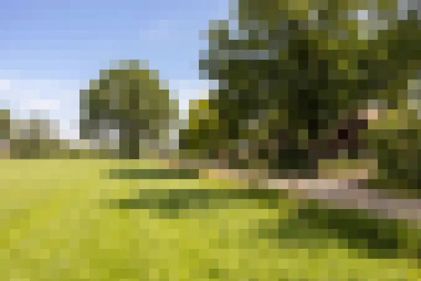 Koskampweg 3 62 Ruurlo thumbnail 36