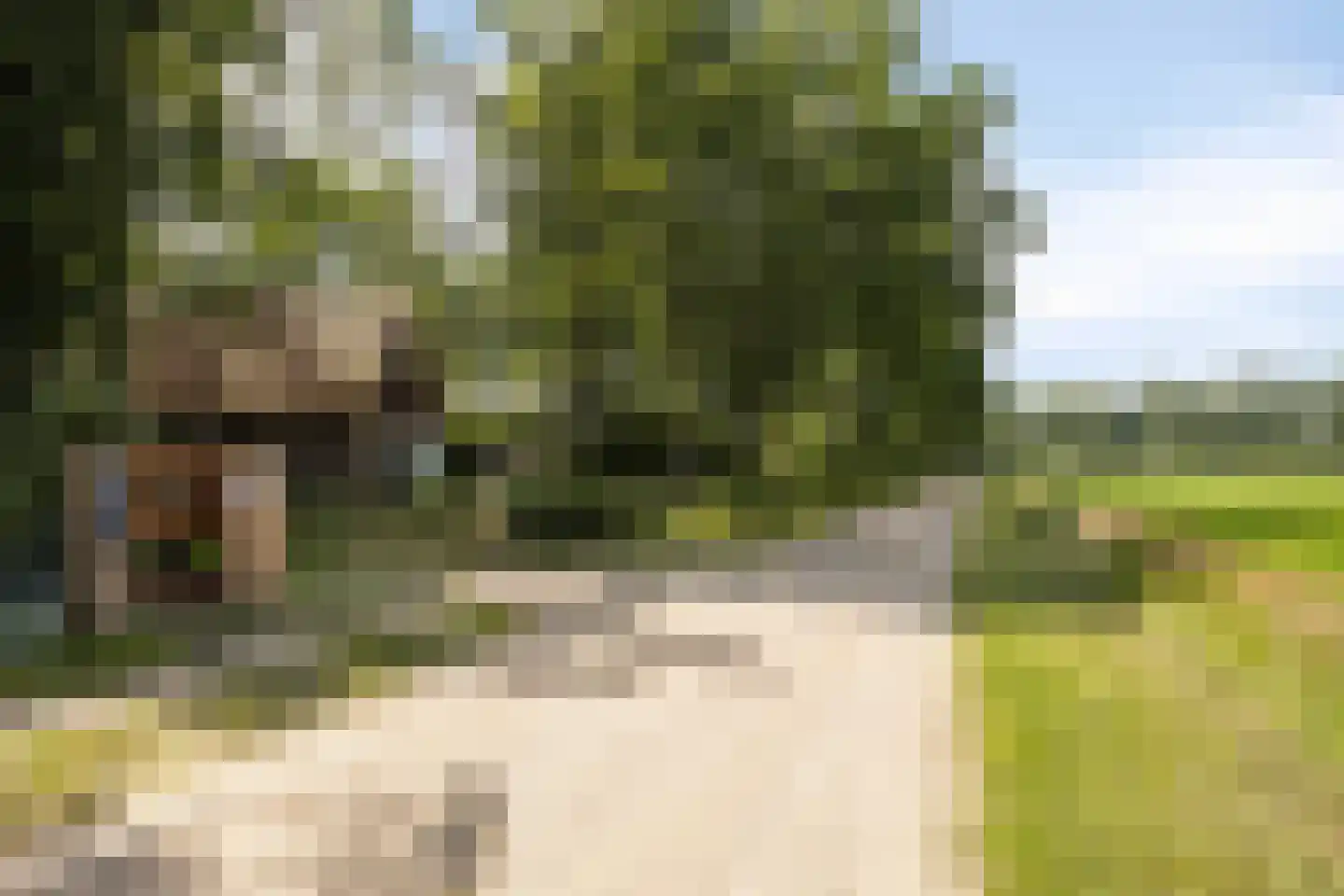 Koskampweg 3 62 Ruurlo thumbnail 37