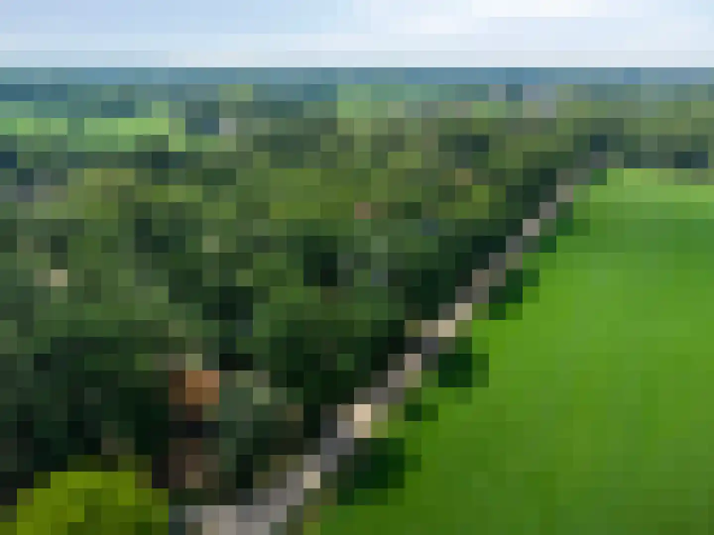 Koskampweg 3 62 Ruurlo thumbnail 38
