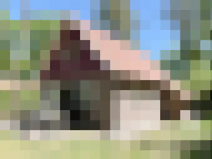 Koskampweg 3 69 Ruurlo thumbnail 21