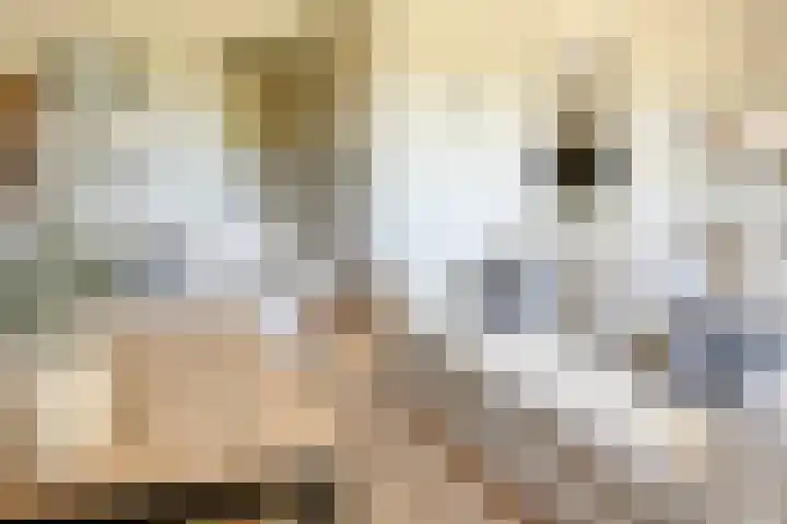 Koskampweg 3 69 Ruurlo thumbnail 7
