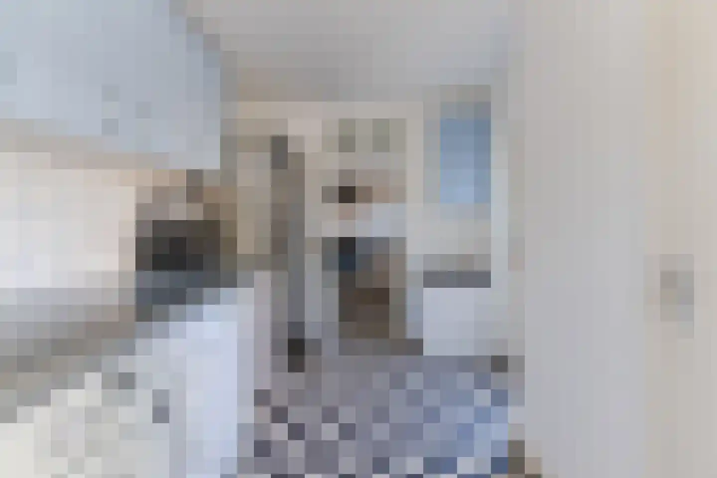 Kosmonautenplein 15 Hilvarenbeek thumbnail 18