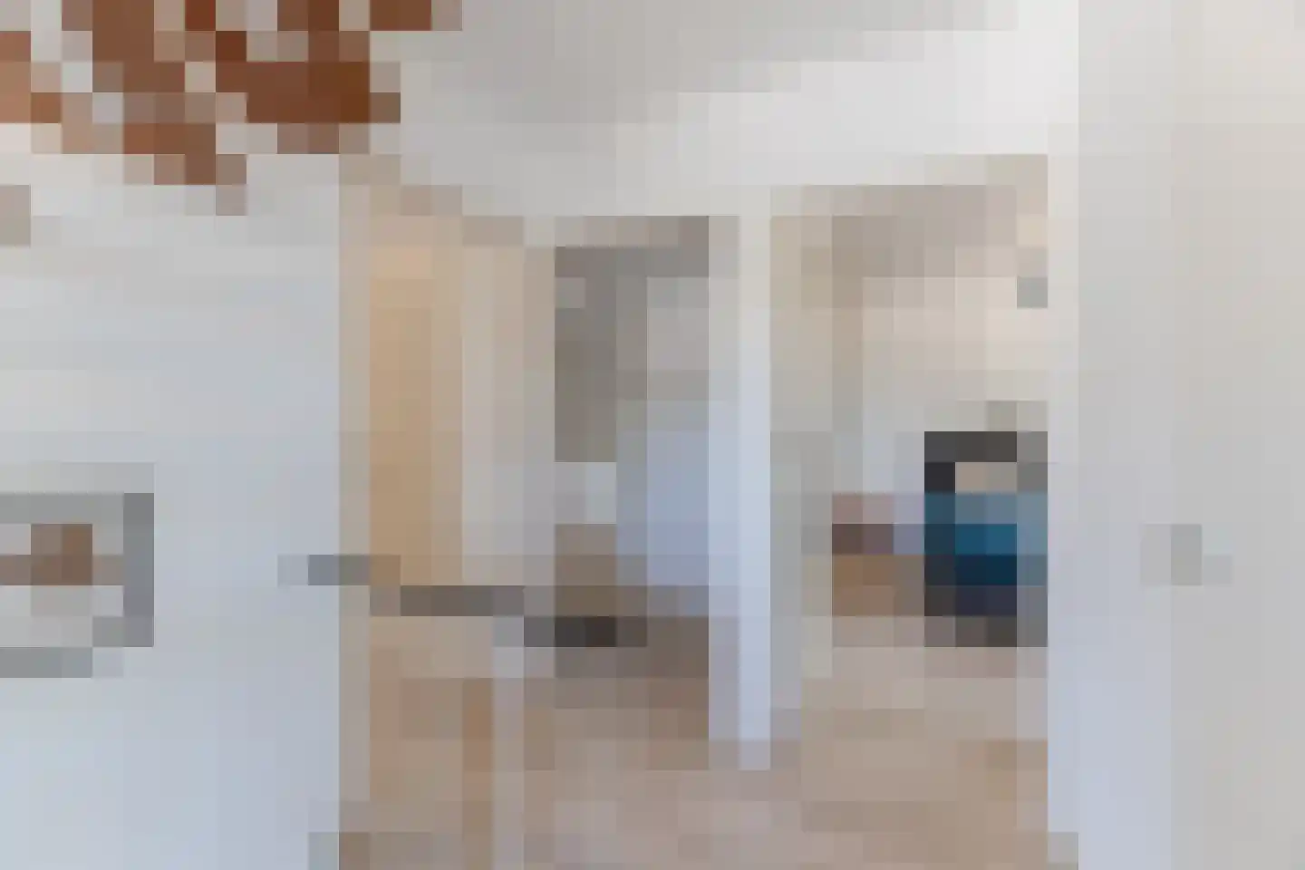 Kosmonautenplein 15 Hilvarenbeek thumbnail 22