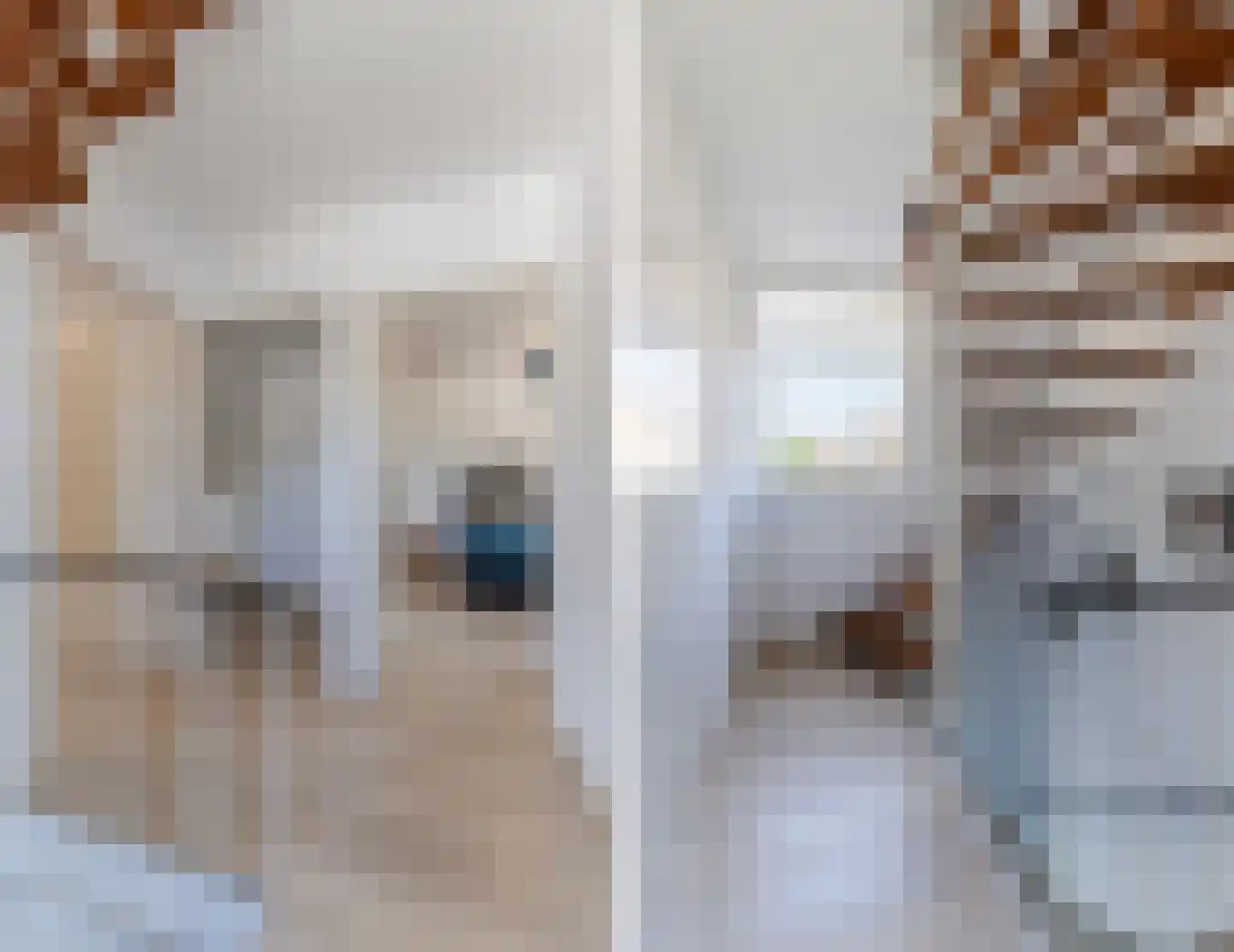 Kosmonautenplein 15 Hilvarenbeek thumbnail 24