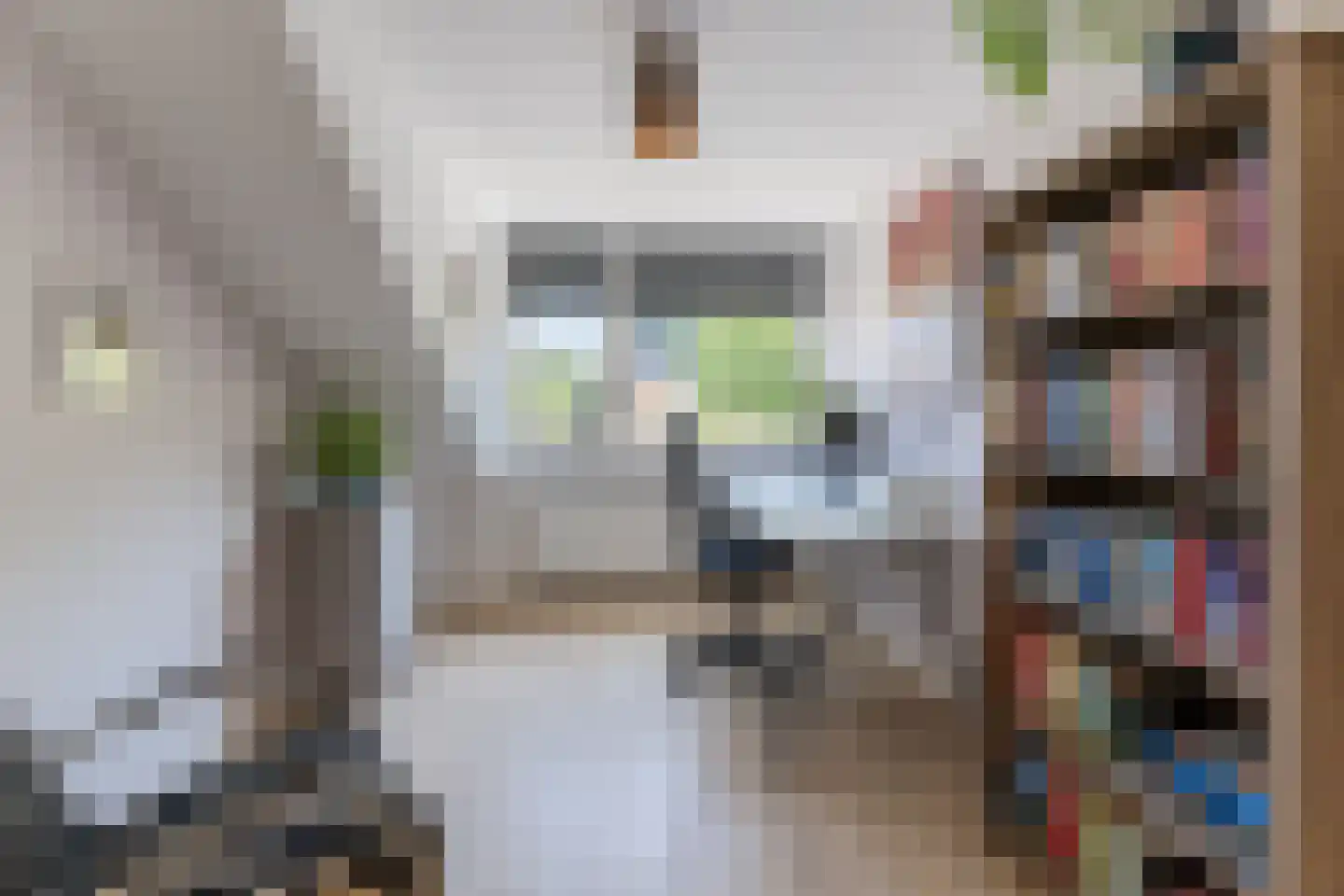 Kosmonautenplein 15 Hilvarenbeek thumbnail 32