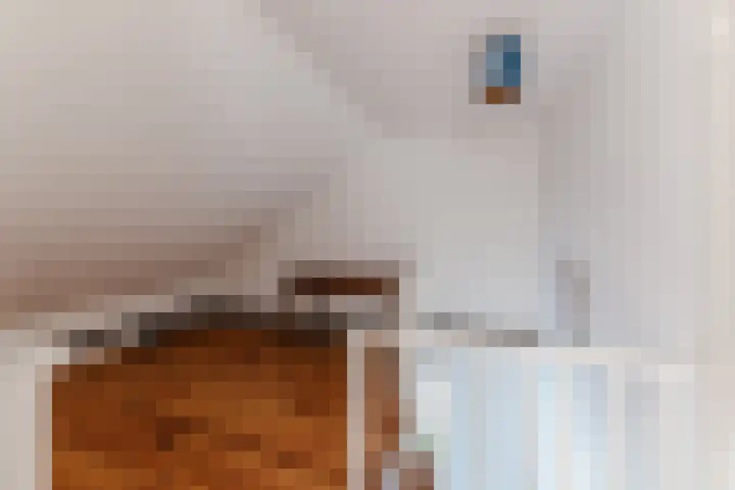 Kosmonautenplein 15 Hilvarenbeek thumbnail 39