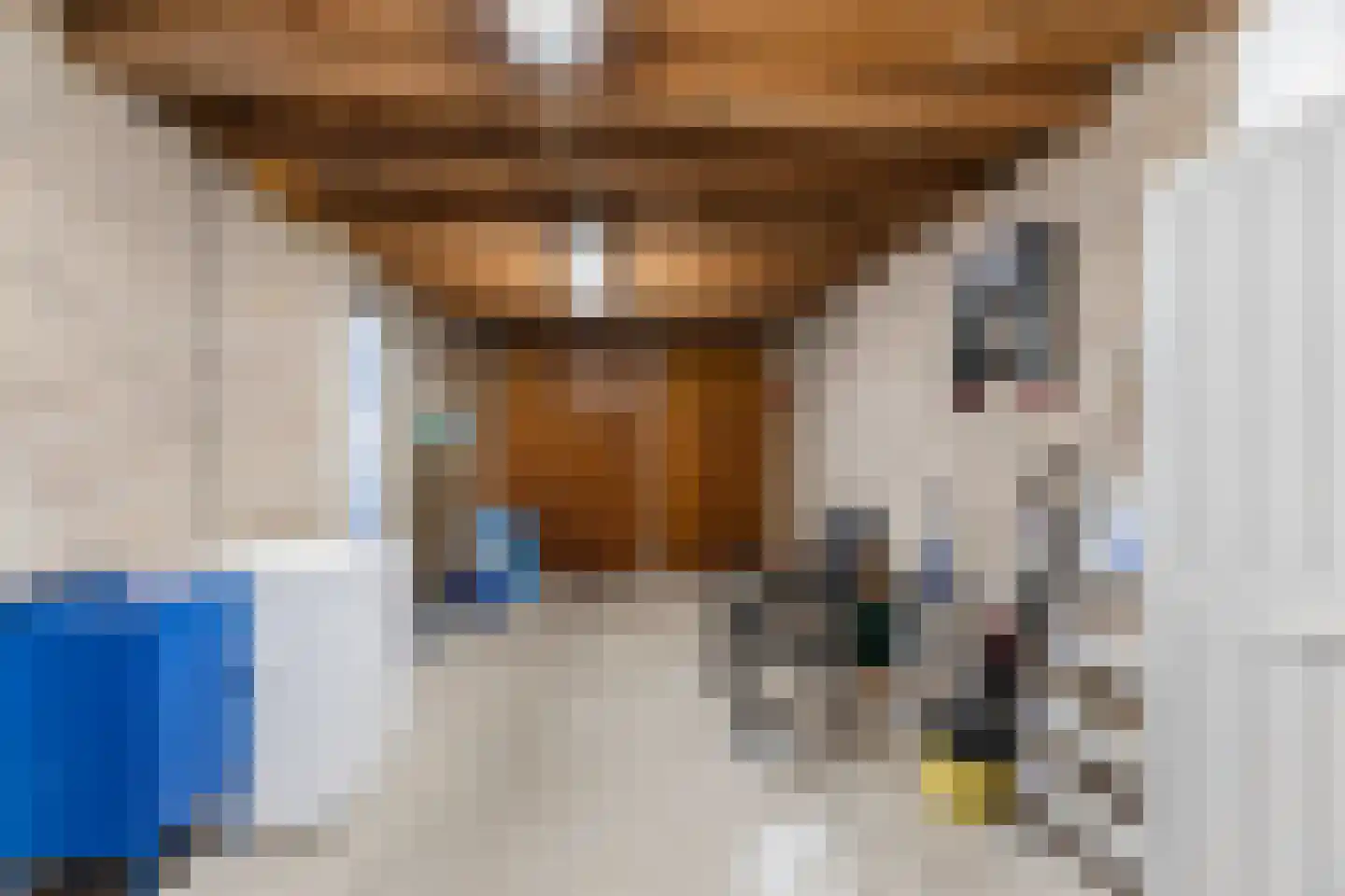 Kosmonautenplein 15 Hilvarenbeek thumbnail 48
