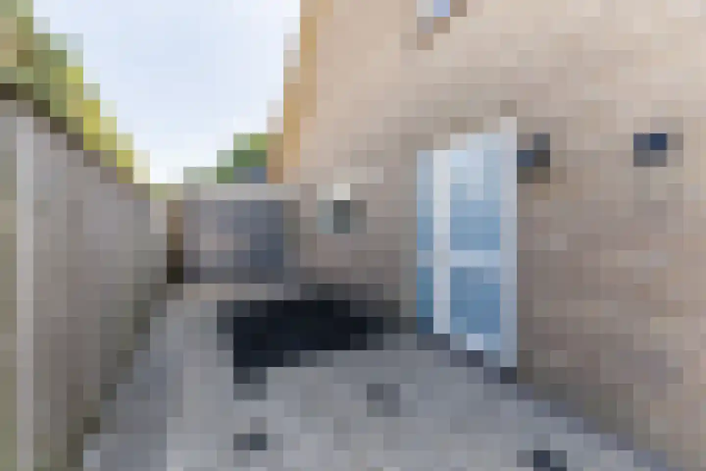 Kosmonautenplein 15 Hilvarenbeek thumbnail 50