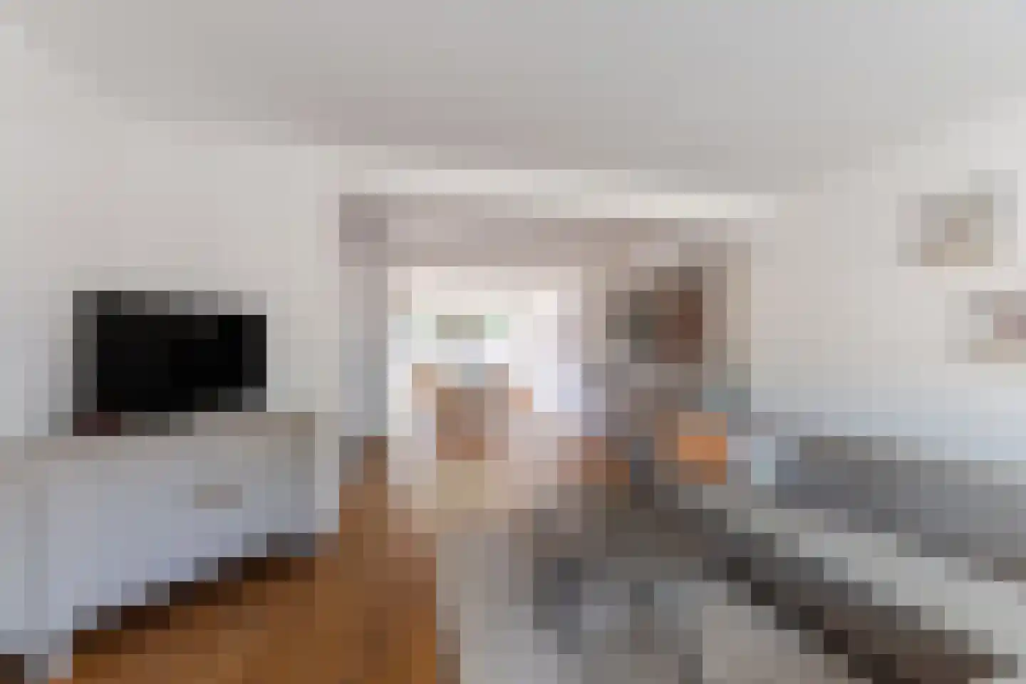 Kosmonautenplein 15 Hilvarenbeek thumbnail 6