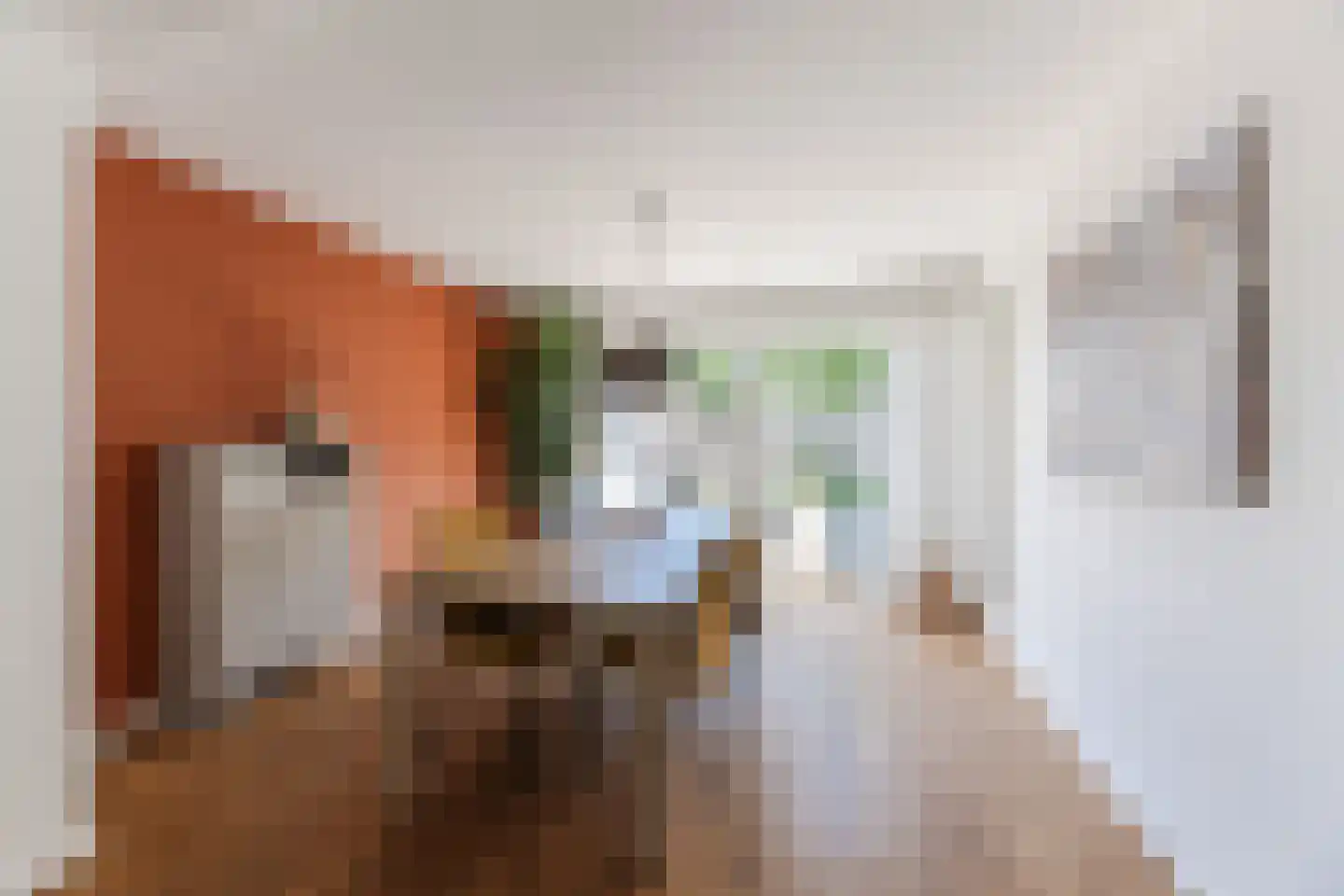 Kosmonautenplein 15 Hilvarenbeek thumbnail 7