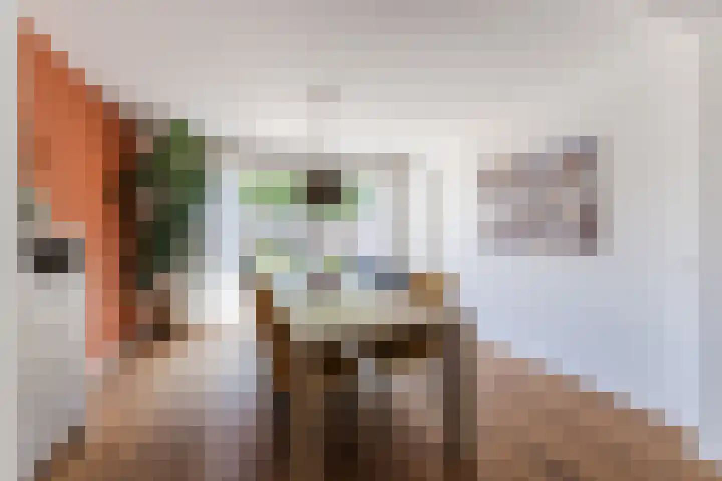Kosmonautenplein 15 Hilvarenbeek thumbnail 8