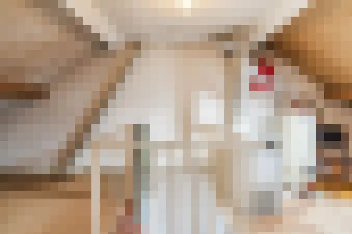 Kosmonautenplein 9 Hilvarenbeek thumbnail 33