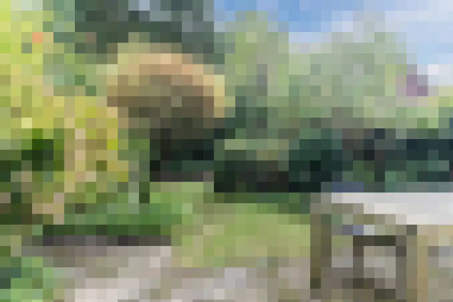 Kosmonautenplein 9 Hilvarenbeek thumbnail 36