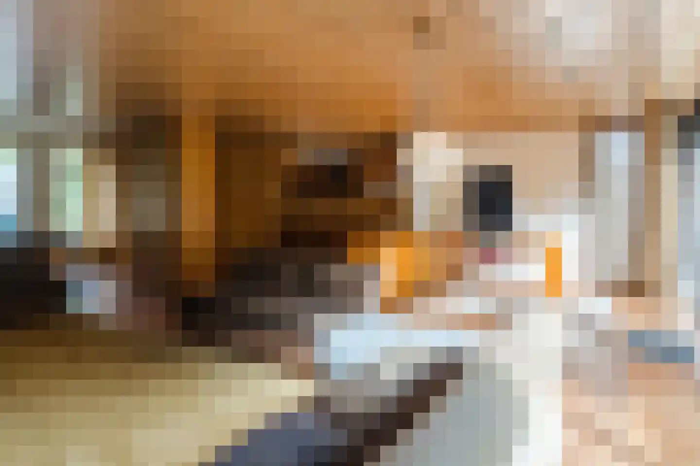 Kosmonautenplein 9 Hilvarenbeek thumbnail 4