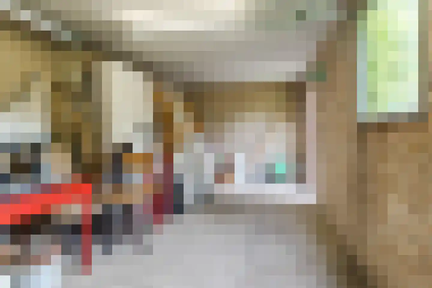 Kosmonautenplein 9 Hilvarenbeek thumbnail 41
