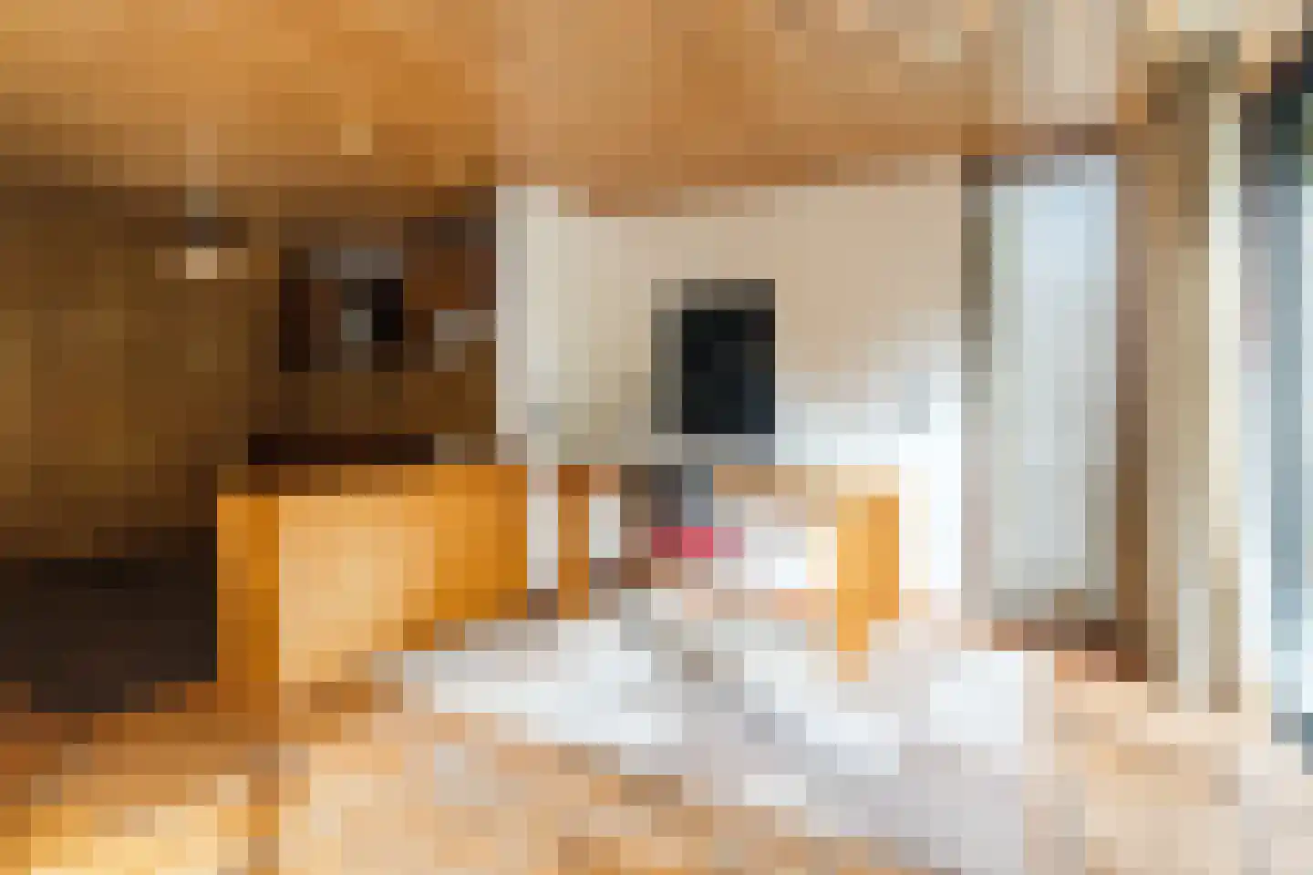 Kosmonautenplein 9 Hilvarenbeek thumbnail 7