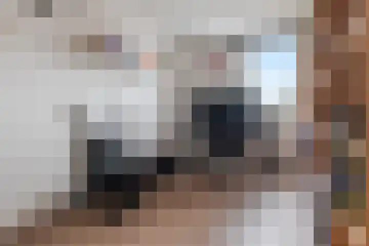 Kosmos 20 Hoogezand thumbnail 21