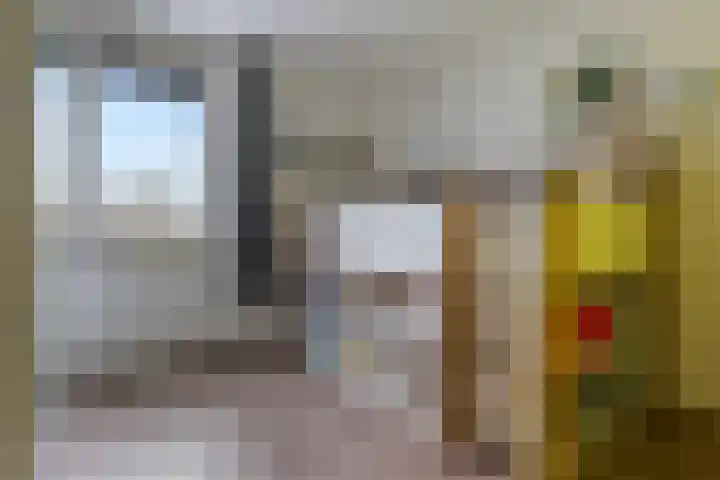 Kosmos 20 Hoogezand thumbnail 23