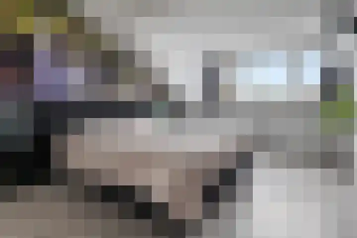 Kosmos 20 Hoogezand thumbnail 30
