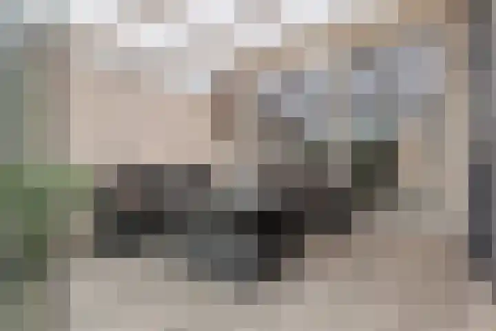 Kosmos 20 Hoogezand thumbnail 33