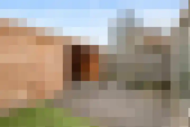 Kosmos 20 Hoogezand thumbnail 34