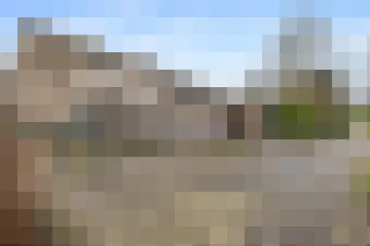 Kosmos 20 Hoogezand thumbnail 38