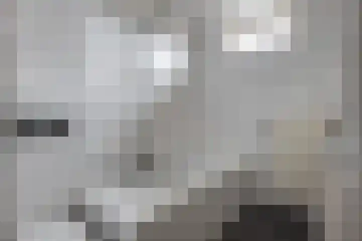 Kosmos 20 Hoogezand thumbnail 4