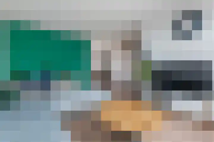 Kosmos 20 Hoogezand thumbnail 9