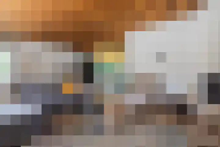 Kosmoslaan 19 Eindhoven thumbnail 12