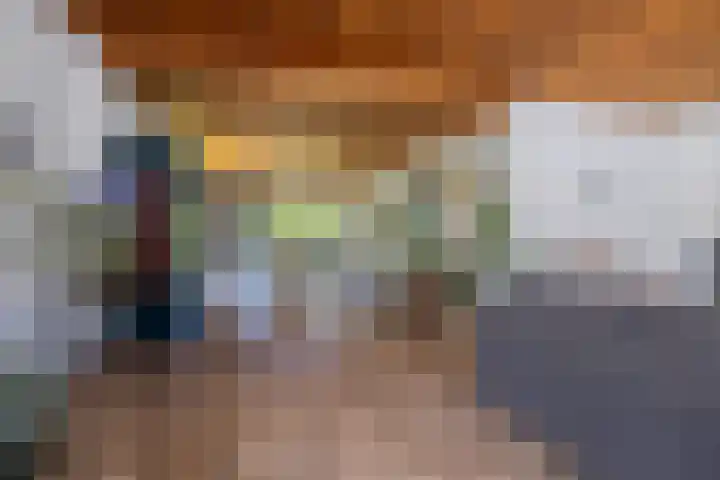 Kosmoslaan 19 Eindhoven thumbnail 13