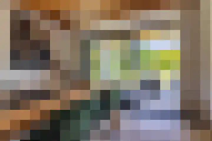 Kosmoslaan 19 Eindhoven thumbnail 15
