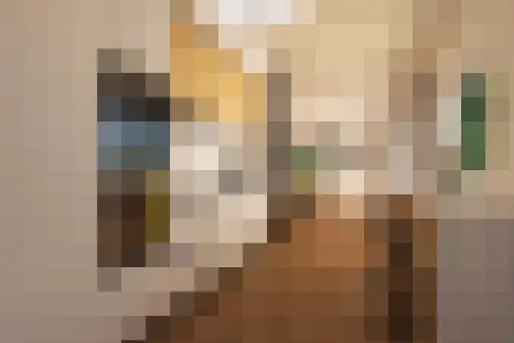 Kosmoslaan 19 Eindhoven thumbnail 18