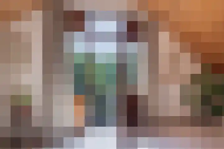 Kosmoslaan 19 Eindhoven thumbnail 25