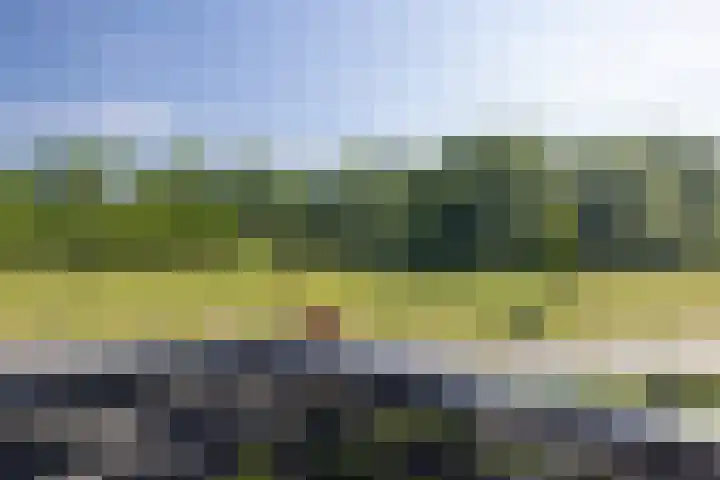 Kosmoslaan 19 Eindhoven thumbnail 26