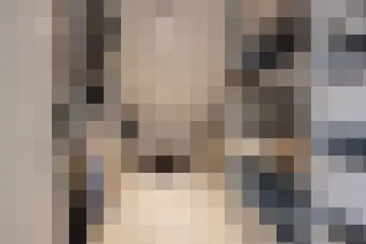 Kosmoslaan 19 Eindhoven thumbnail 27