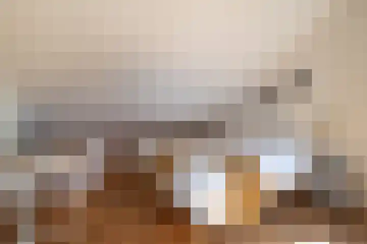 Kosmoslaan 19 Eindhoven thumbnail 28