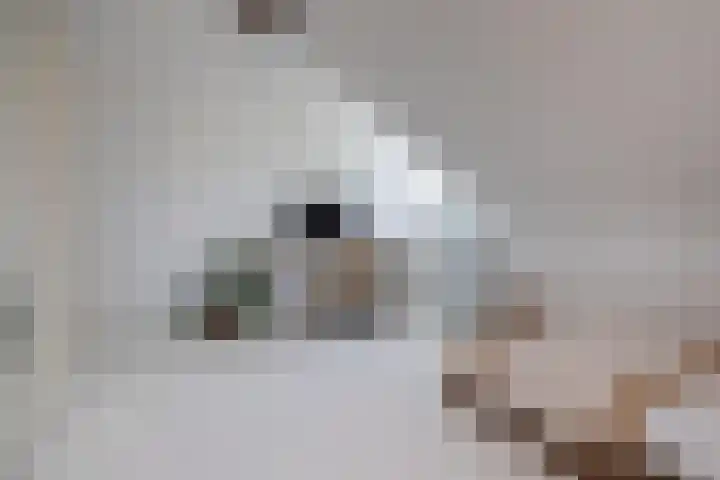 Kosmoslaan 19 Eindhoven thumbnail 31