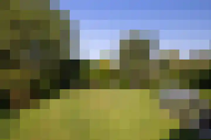 Kosmoslaan 19 Eindhoven thumbnail 33
