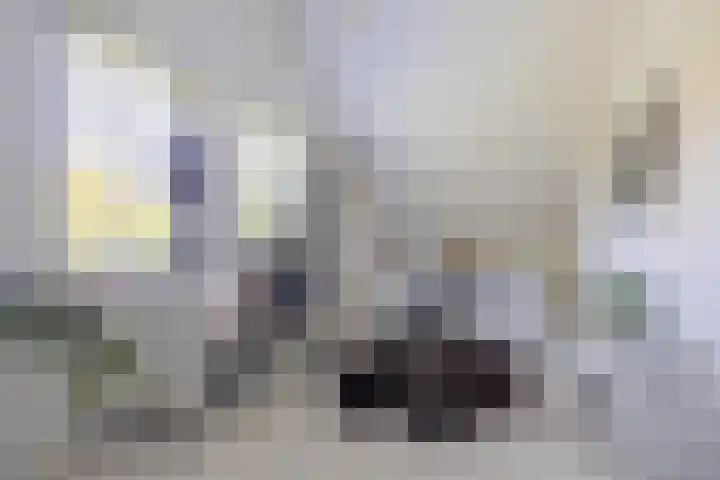Kosmoslaan 19 Eindhoven thumbnail 36
