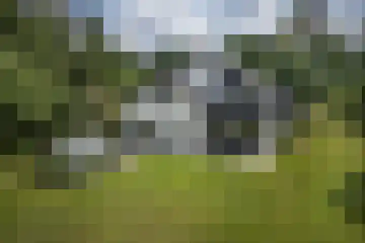 Kosmoslaan 19 Eindhoven thumbnail 4