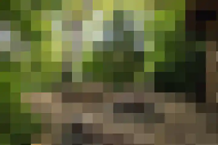Kosmoslaan 19 Eindhoven thumbnail 44