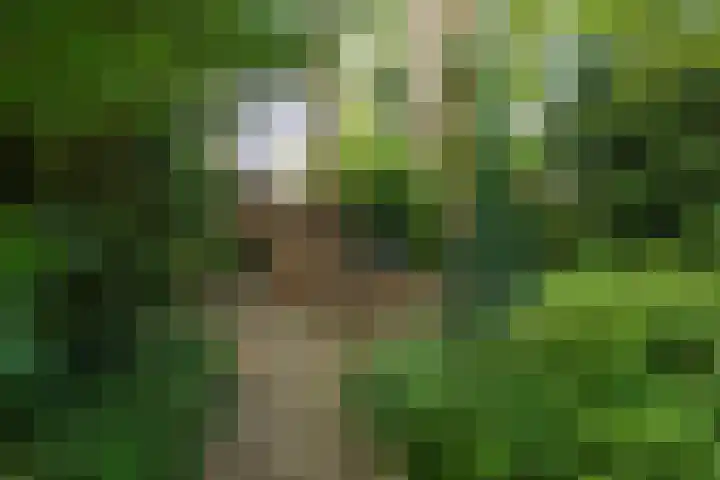 Kosmoslaan 19 Eindhoven thumbnail 45