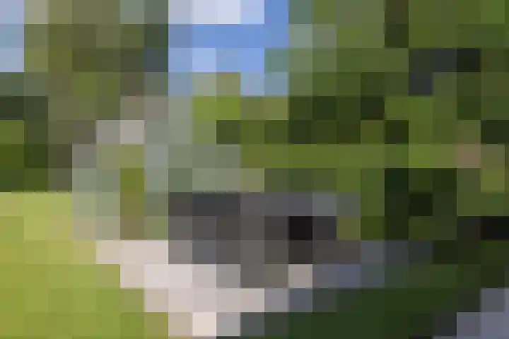 Kosmoslaan 19 Eindhoven thumbnail 49