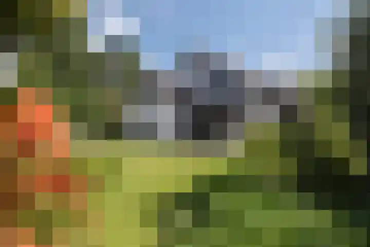 Kosmoslaan 19 Eindhoven thumbnail 50