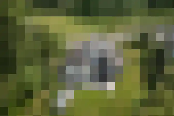 Kosmoslaan 19 Eindhoven thumbnail 51