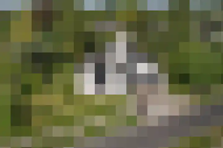 Kosmoslaan 19 Eindhoven thumbnail 53
