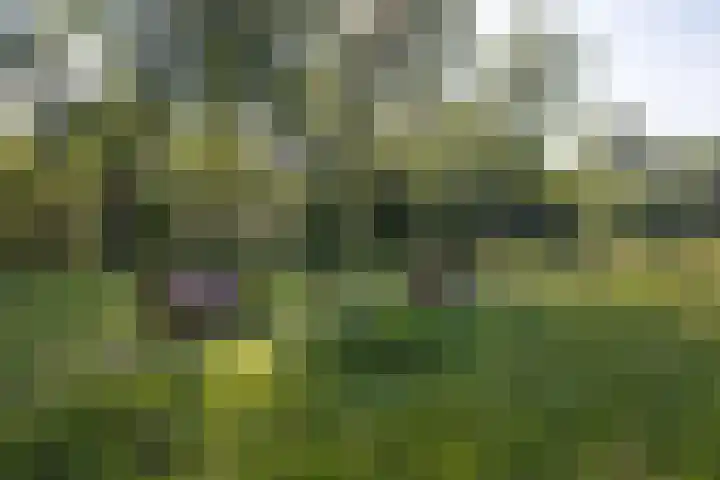 Kosmoslaan 19 Eindhoven thumbnail 56