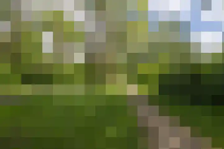Kosmoslaan 19 Eindhoven thumbnail 57