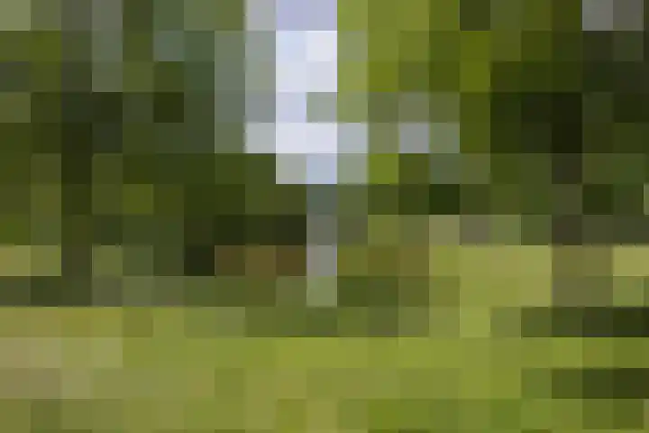 Kosmoslaan 19 Eindhoven thumbnail 58