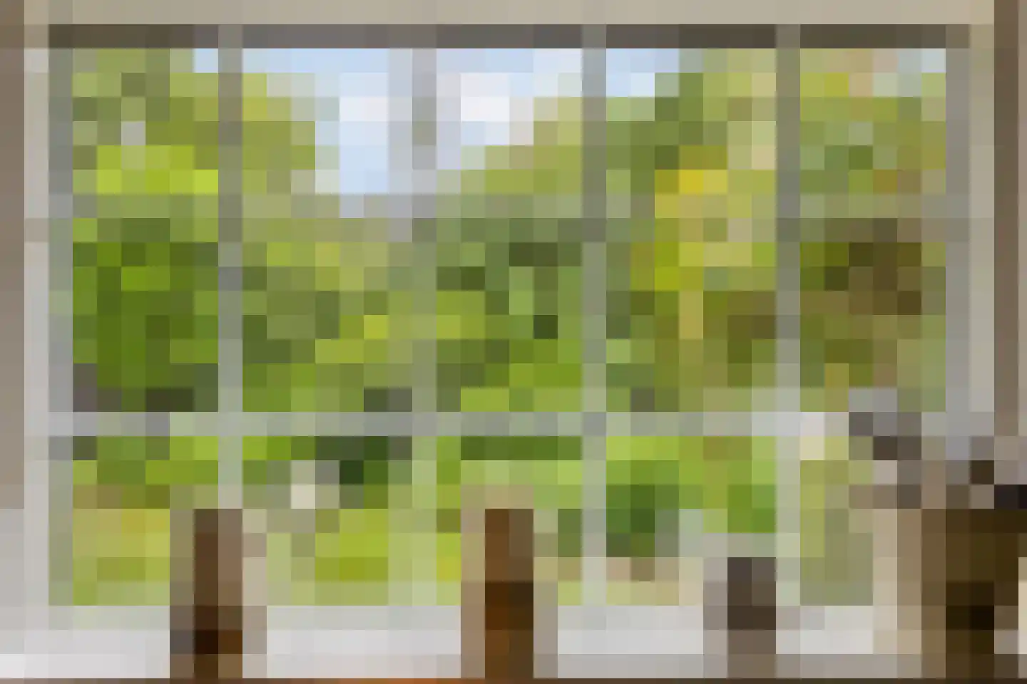 Kosmoslaan 21 Eindhoven thumbnail 28